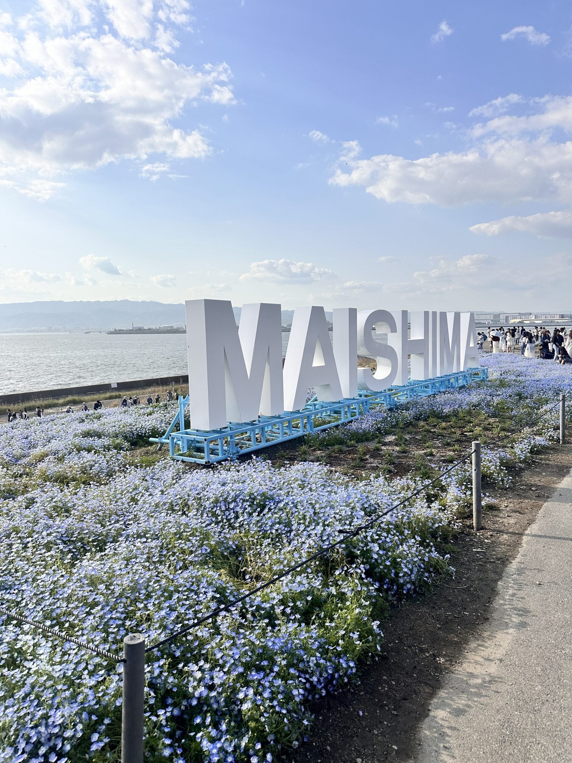 MAISHIMAモニュメント ネモフィラ 海