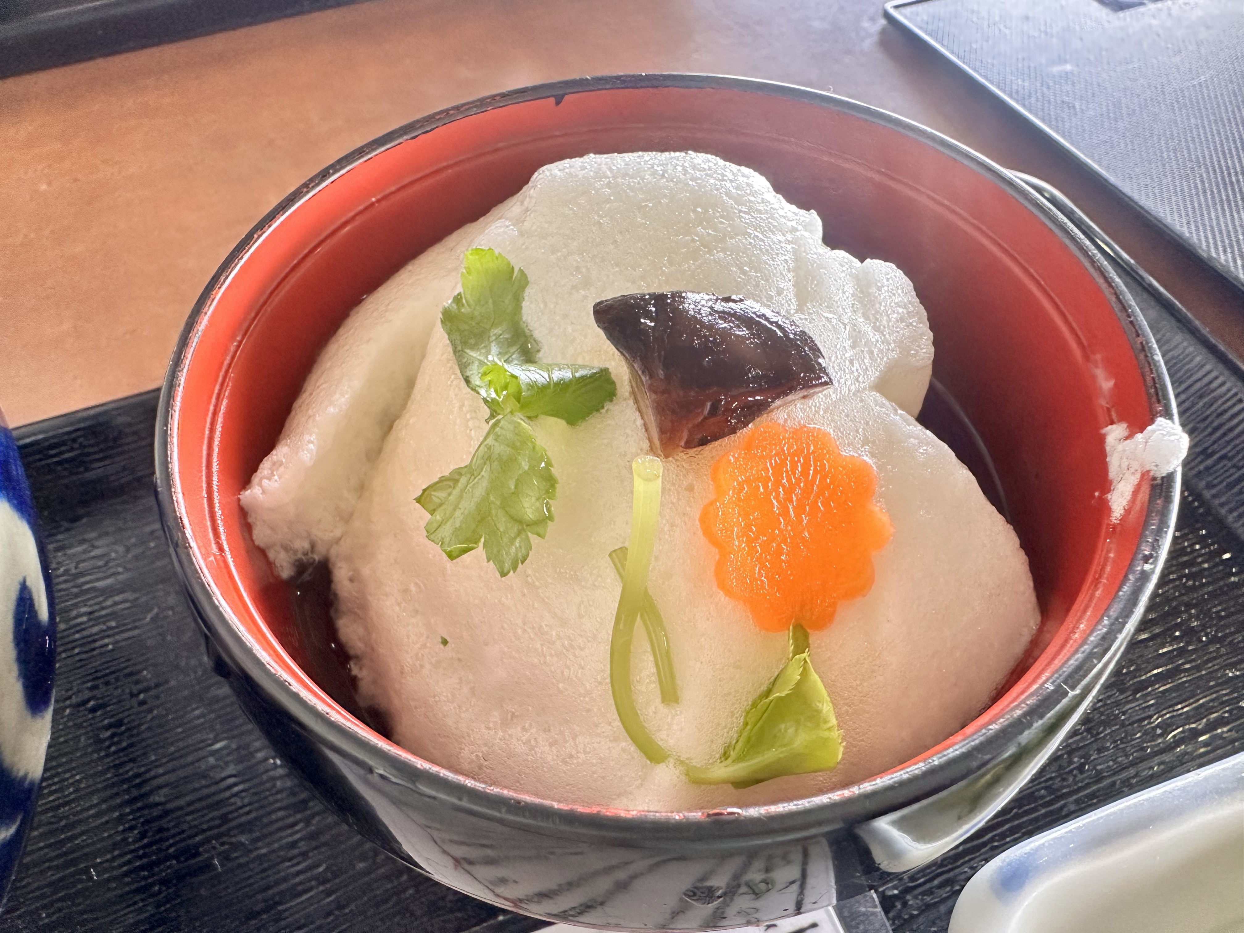葛城山 ツツジ 満開 鮮やか