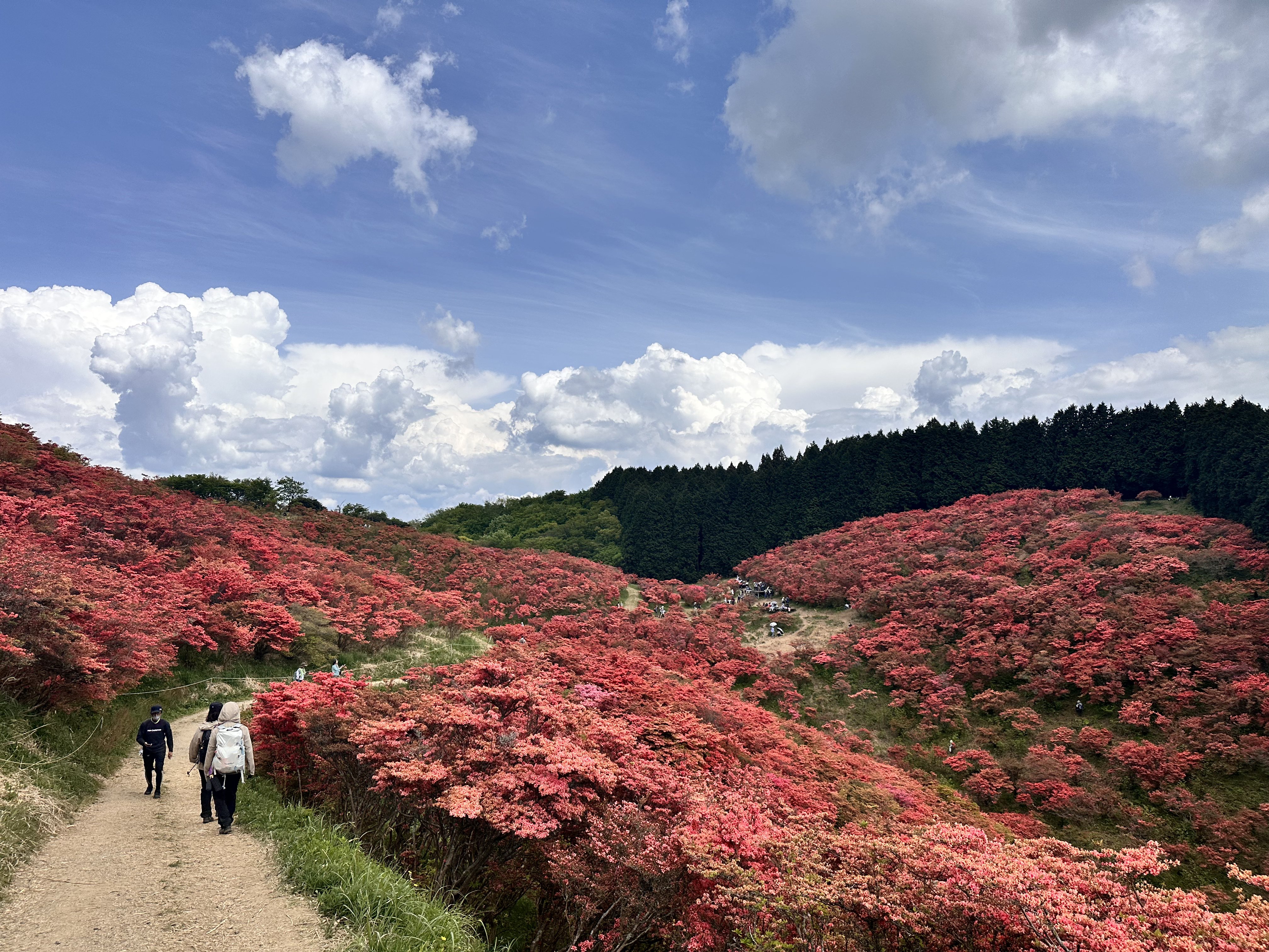 葛城山 山頂 奈良盆地 絶景 展望